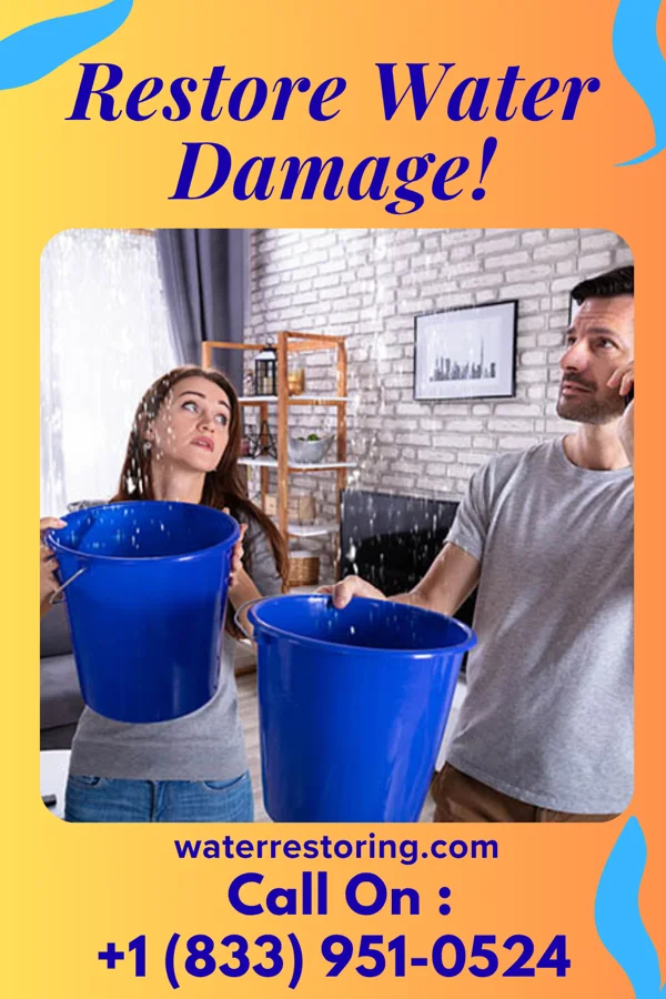 water restoration Crown Flood Damage Solutions North Riverside